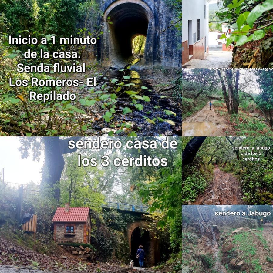 Los RomerosLa Casa Junto Al Sendero Del Rio & Piscina # Aire Acondicionado别墅 外观 照片